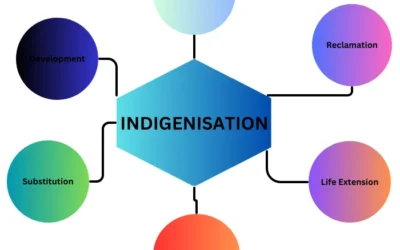 Indigenisation in India:  National Pride and Empowerment